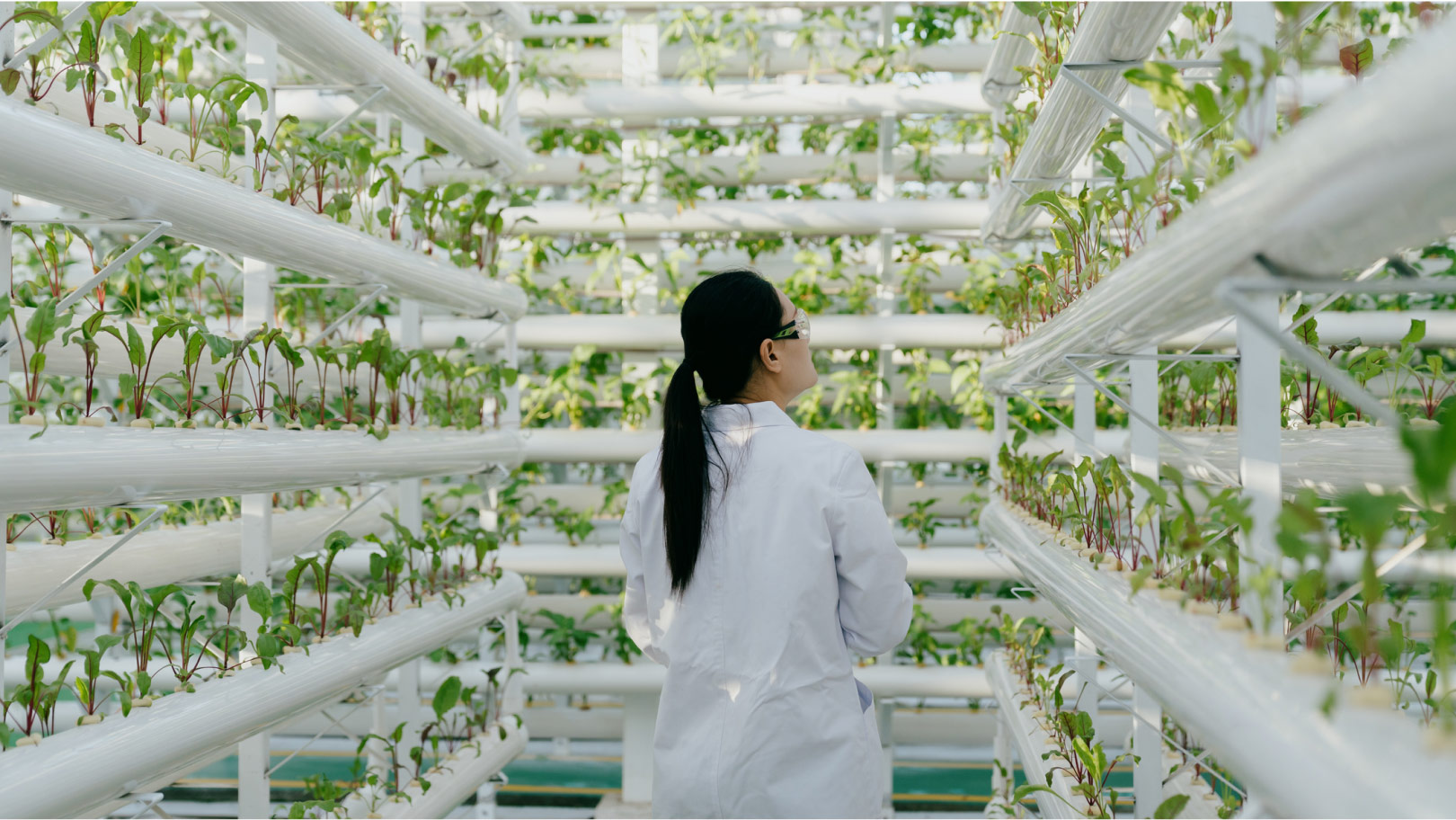 scientist-recording-plant-growth