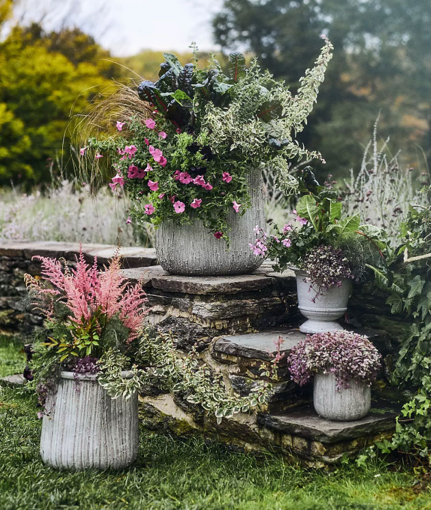 Large offers Wide-mouthed Planter