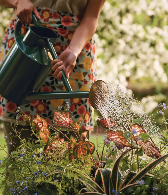 Person in floral apron watering colorful garden plants with green watering can in sunny outdoor setting