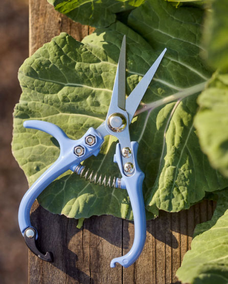 Gardening Shears + Pruners | Terrain