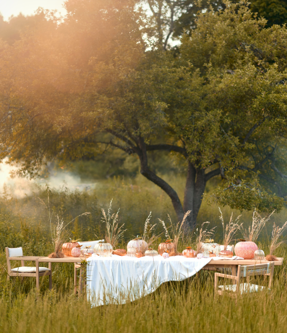Outdoor dining table set with pumpkins and white tablecloth in a misty field with trees and golden sunlight.