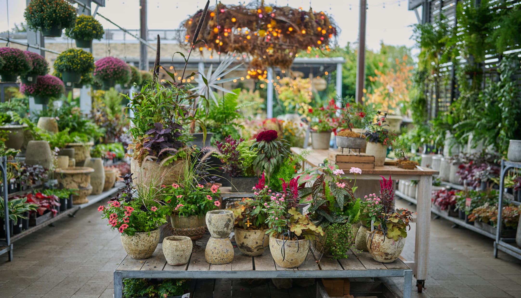 Garden center display with colorful potted plants in rustic containers on wooden table, hanging baskets with lights above.
