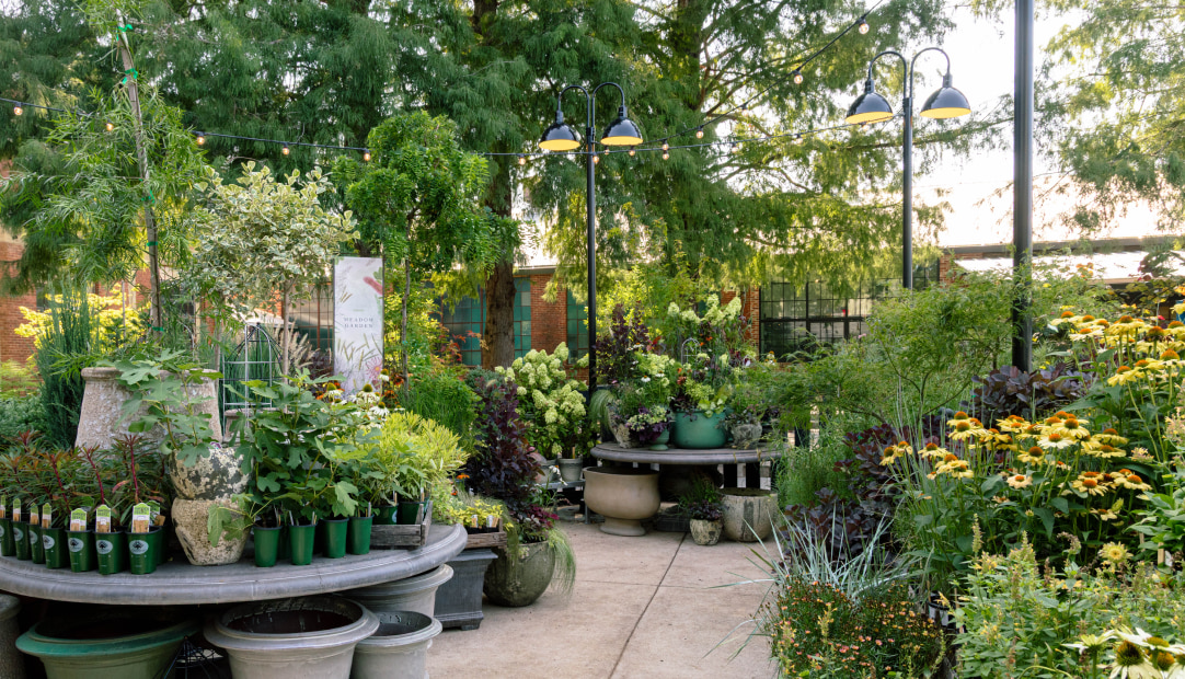 Garden center display with colorful potted plants in rustic containers on wooden table, hanging baskets with lights above.
