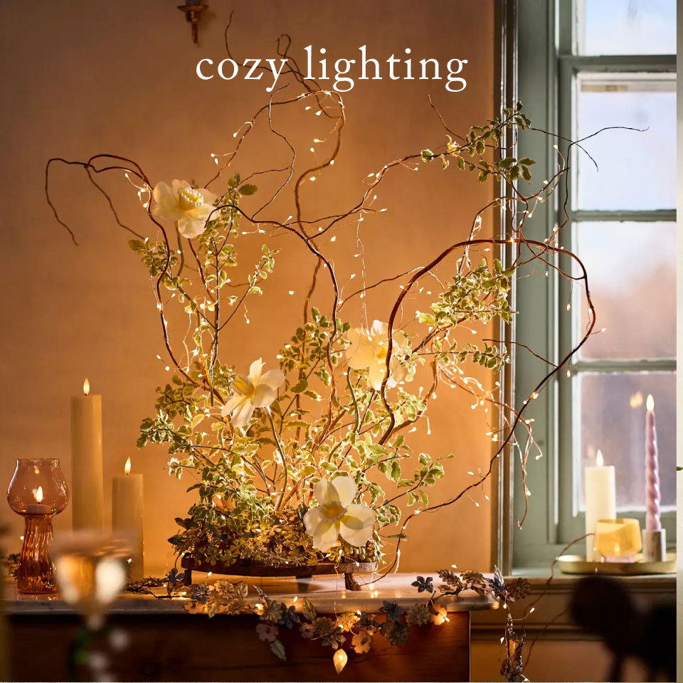 Stargazer String Lights