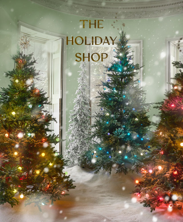 The Holiday Shop