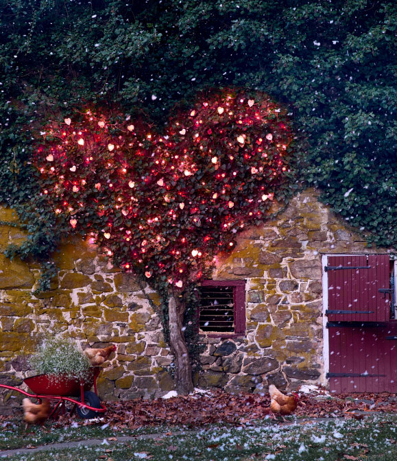 Nature-Inspired Valentine's Day Party Decor + Gift Ideas 