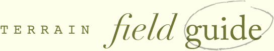 Terrain Field Guide