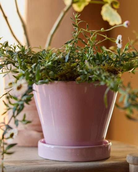 Indoor Containers
