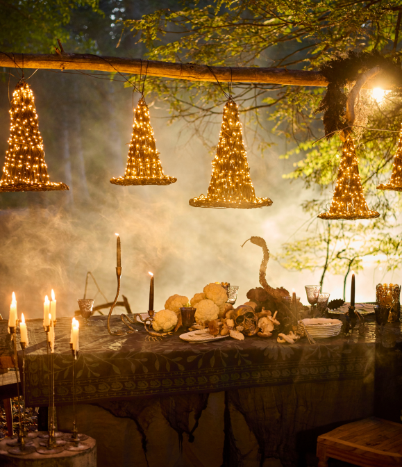  Halloween Dinner Party 