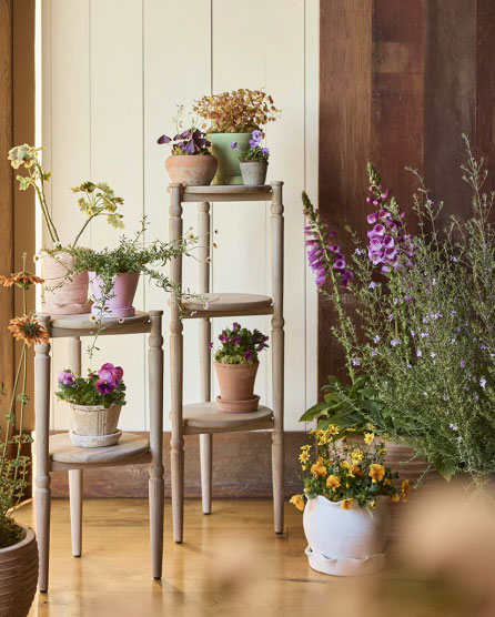 Plant Stands