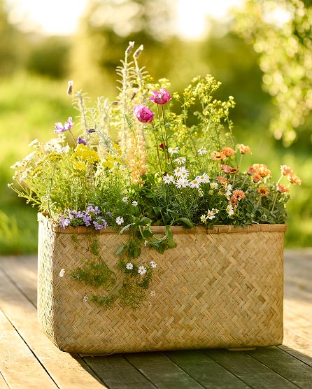 planters