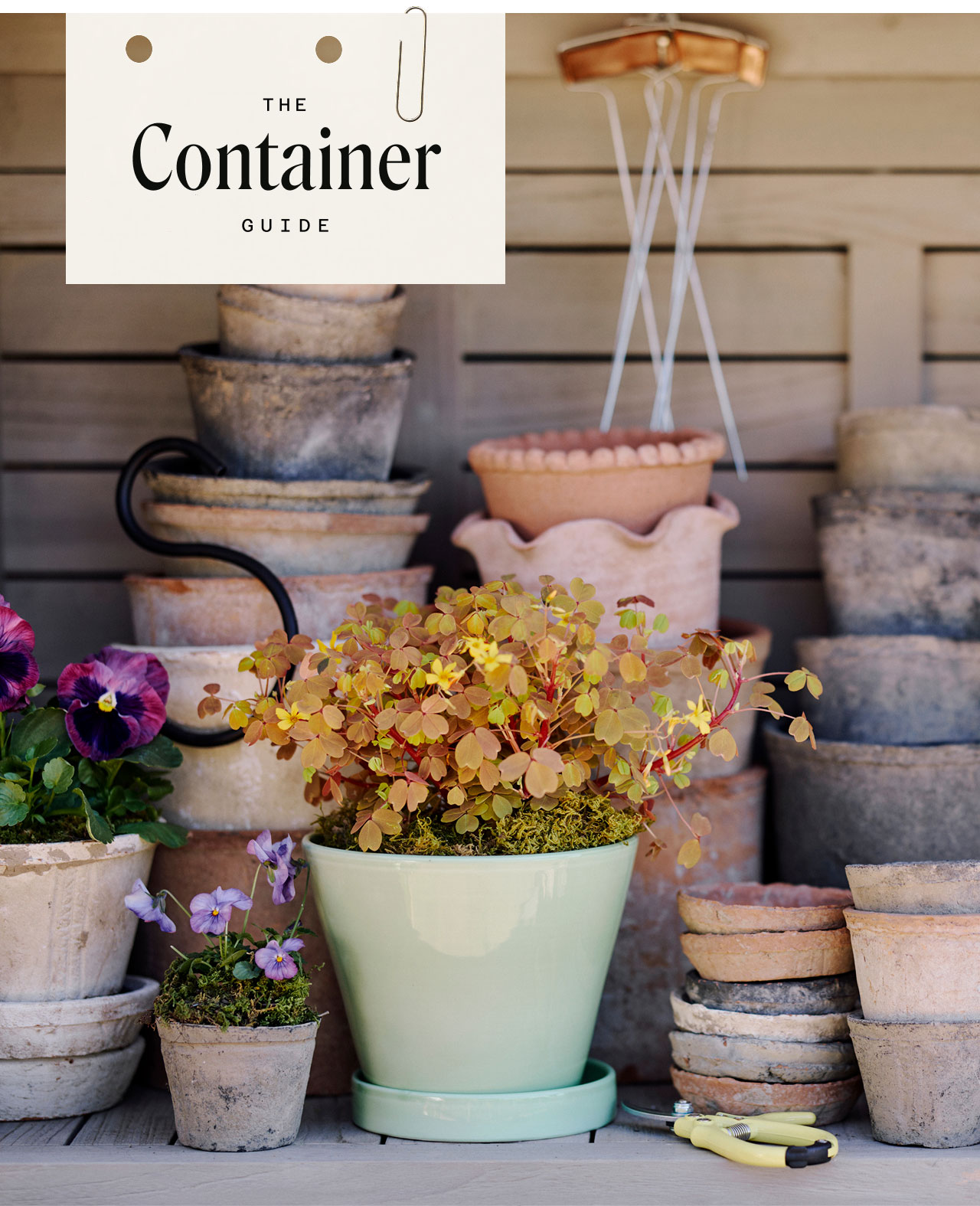 The Container Guide