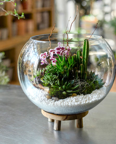 Terrariums
