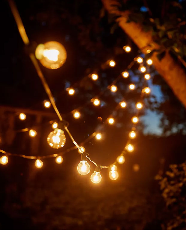 Stargazer Garden Lights Bulbs