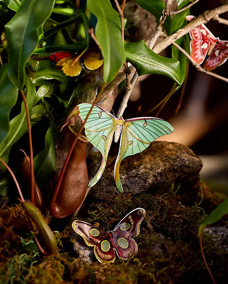 Decorative butterfly ornaments in mint green and burgundy colors displayed on rocks among green foliage and moss.