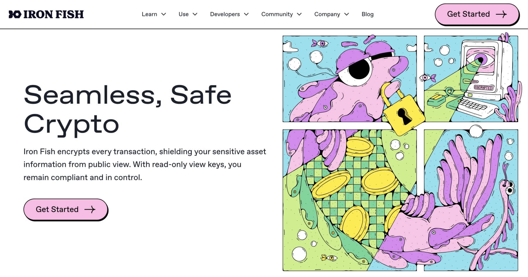 iron-fish-homepage iron-fish-homepage