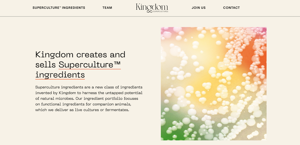 kingdom superculture homepage kingdom superculture homepage