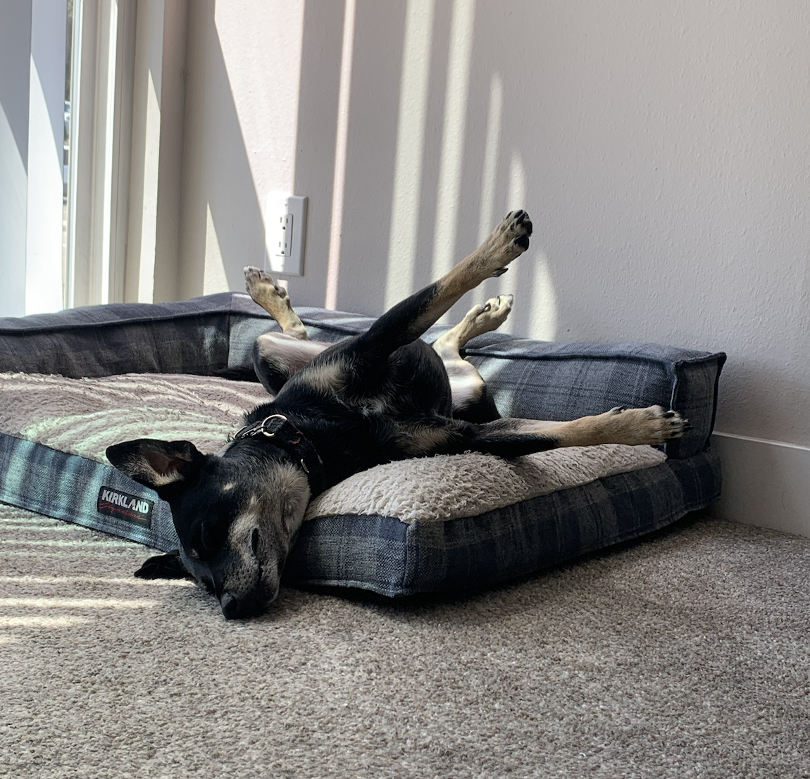 BTB Erica Snyder: Image #2