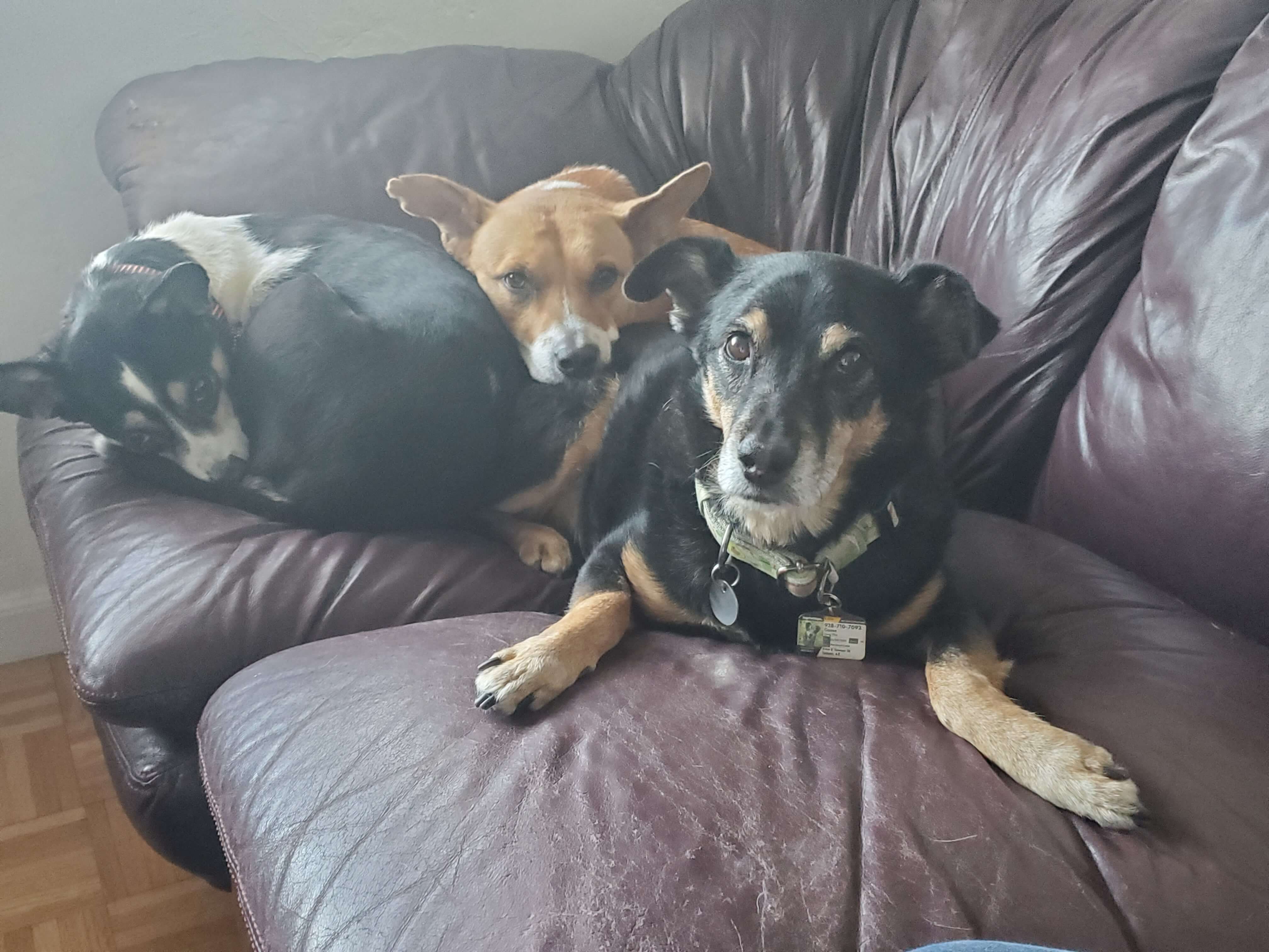 Charly Mostert Image 2