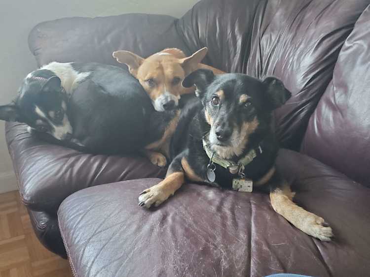 Charly Mostert Image 2 Charly Mostert Image 2