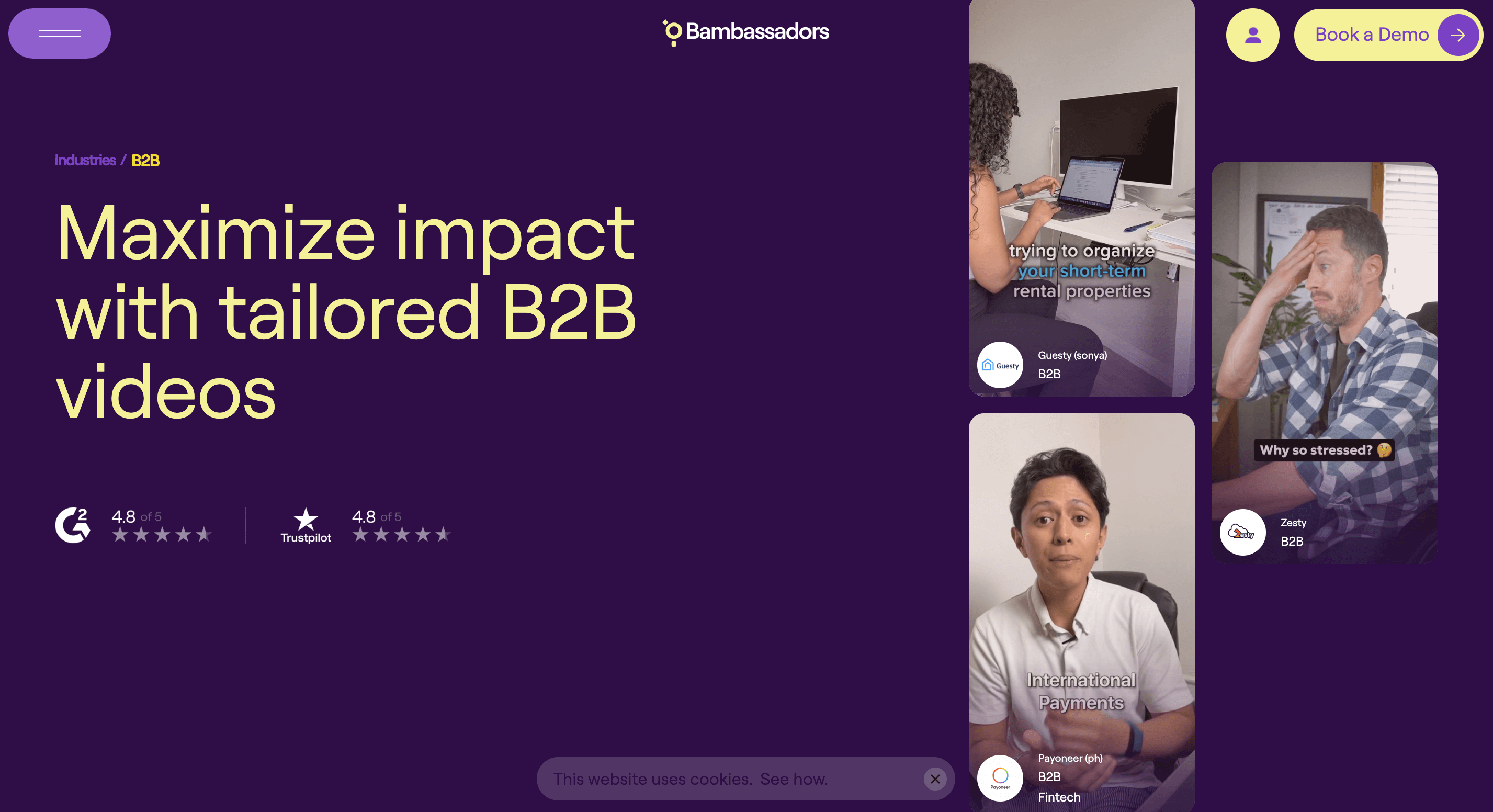 bambassadors industry