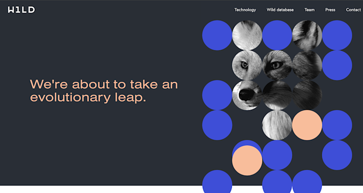 wild bio homepage wild bio homepage