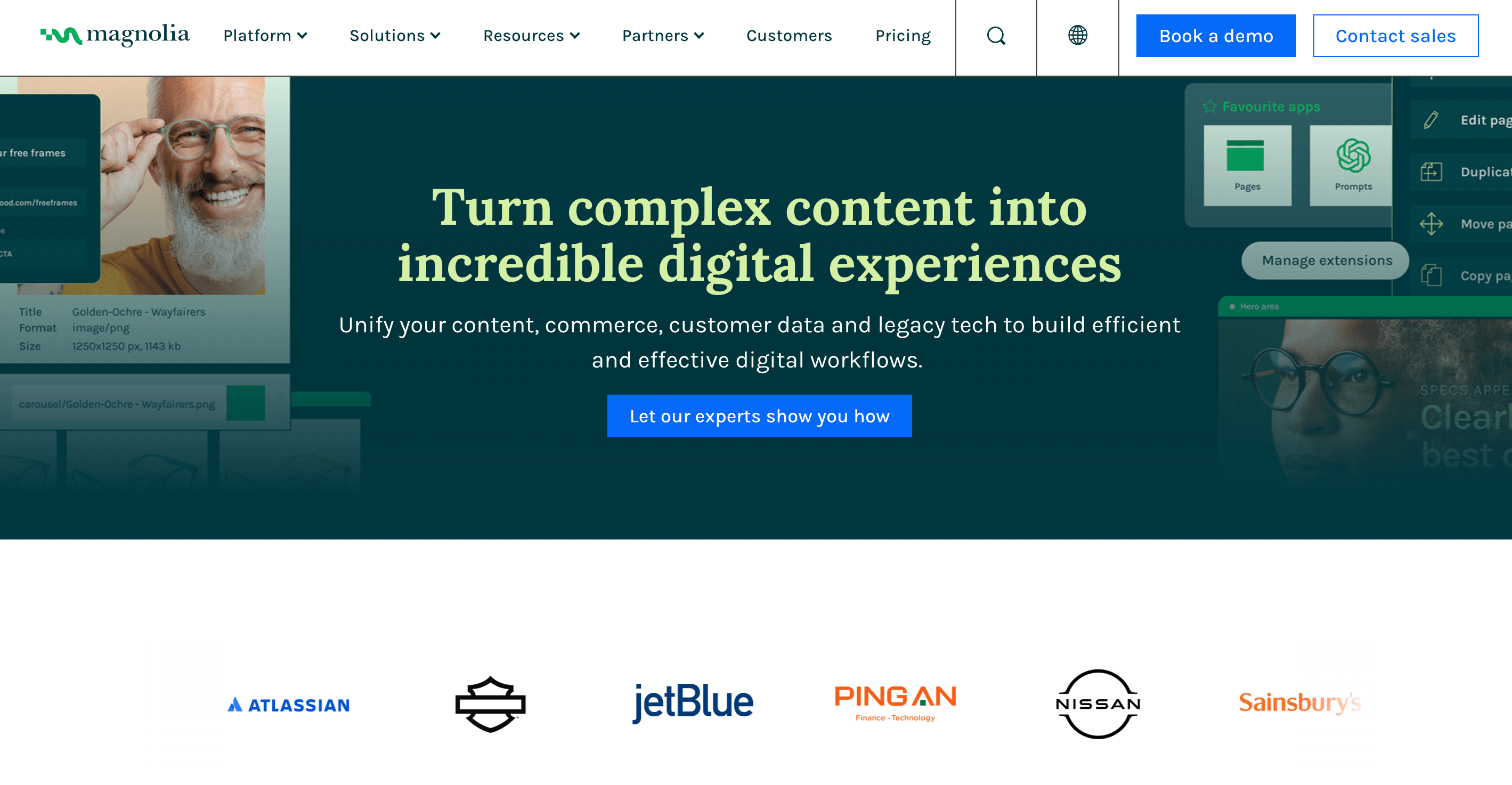 magnolia cms website