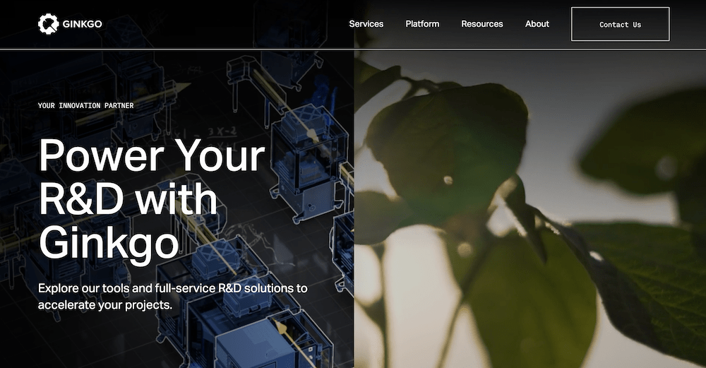 gingko homepage gingko homepage