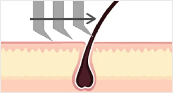 El afeitado con hoja y el efecto histéresis