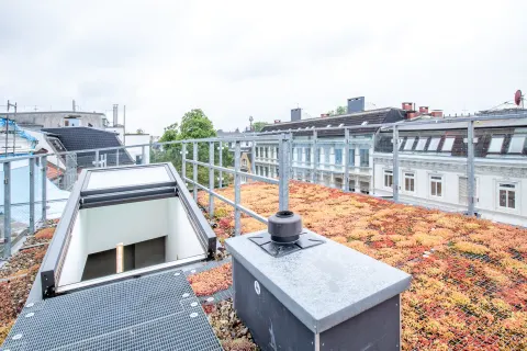 Alfons 6 Rooftop 2