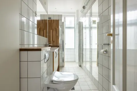 Alvis Bathroom 1.1
