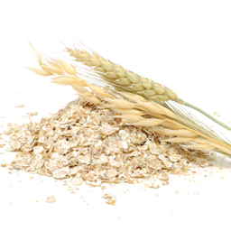 Oat Bran