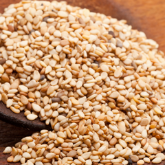 Sesame Seed