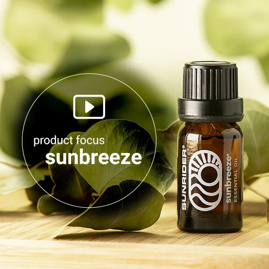 Product-Focus-Home-SunBreeze