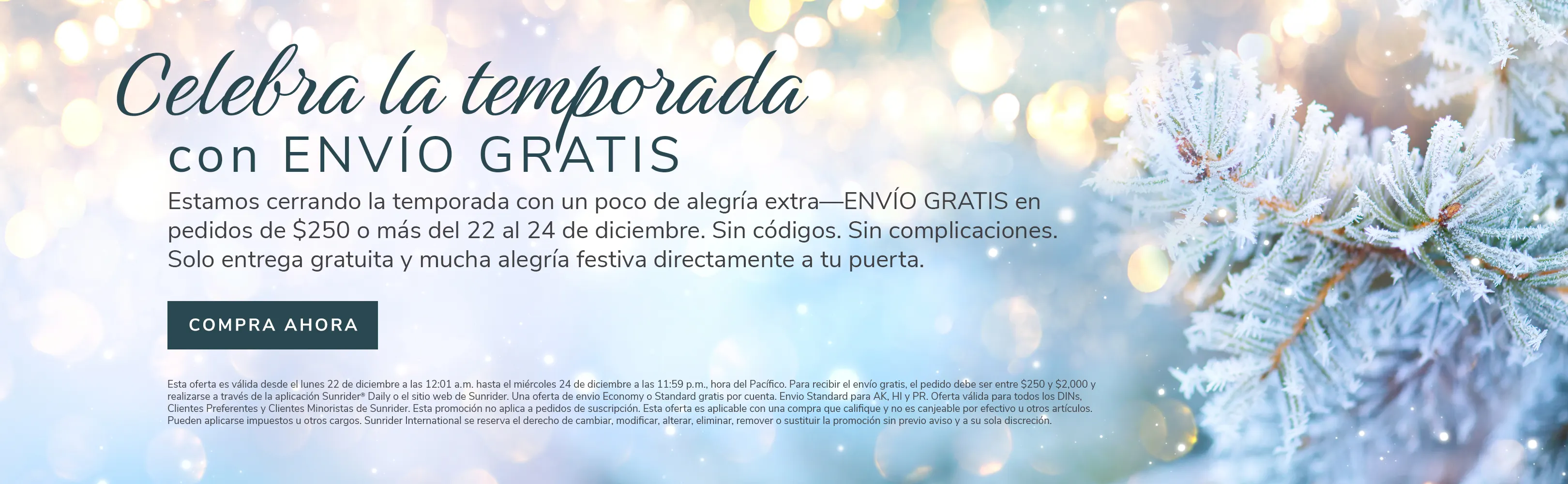 US-2025-December-Free-Shipping-Carousel-SPN