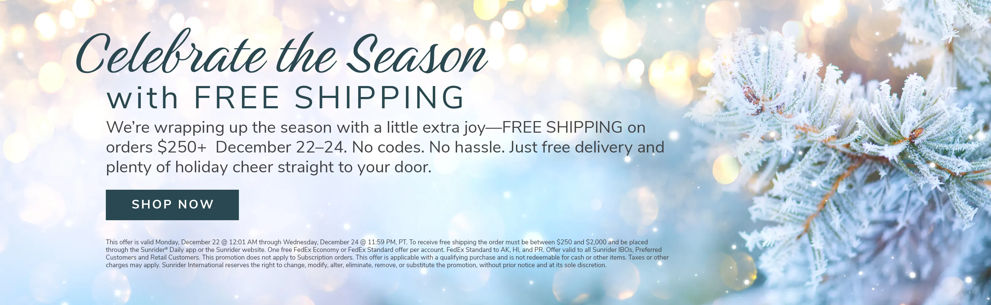 US-2025-December-Free-Shipping-Carousel-ENG