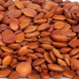 Jujube Seed