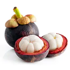 Mangosteen