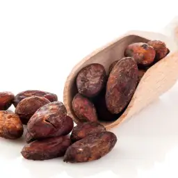 FÈVE DE CACAO