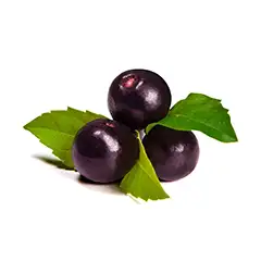 Inulin (FOS) and Acai Gum 
