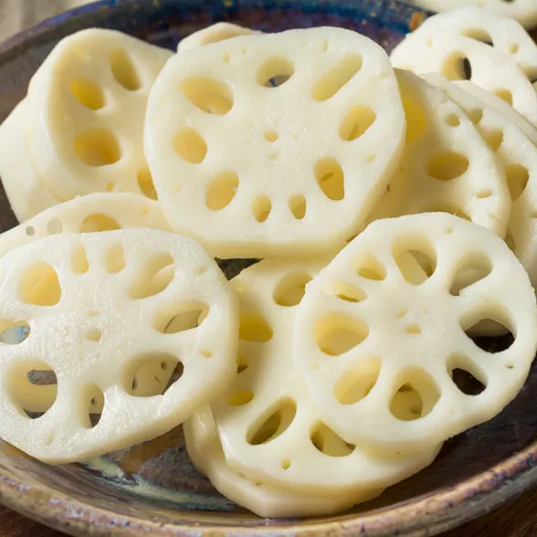 LOTUS ROOT