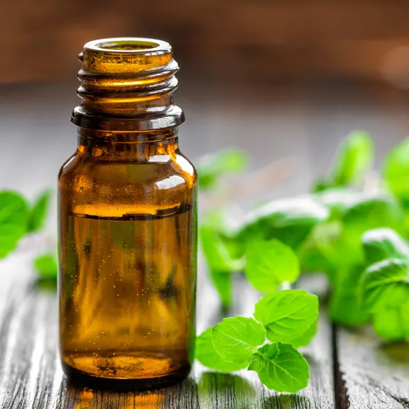 PEPPERMINT OIL