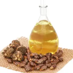 Castor Seed Oil