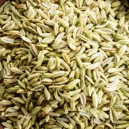 Fennel Seed