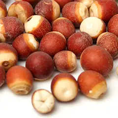 Fox Nut