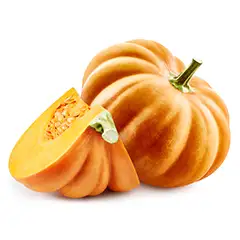 PUMPKIN EXTRACT 