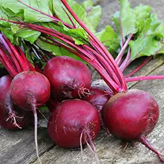 Beet Root Powder