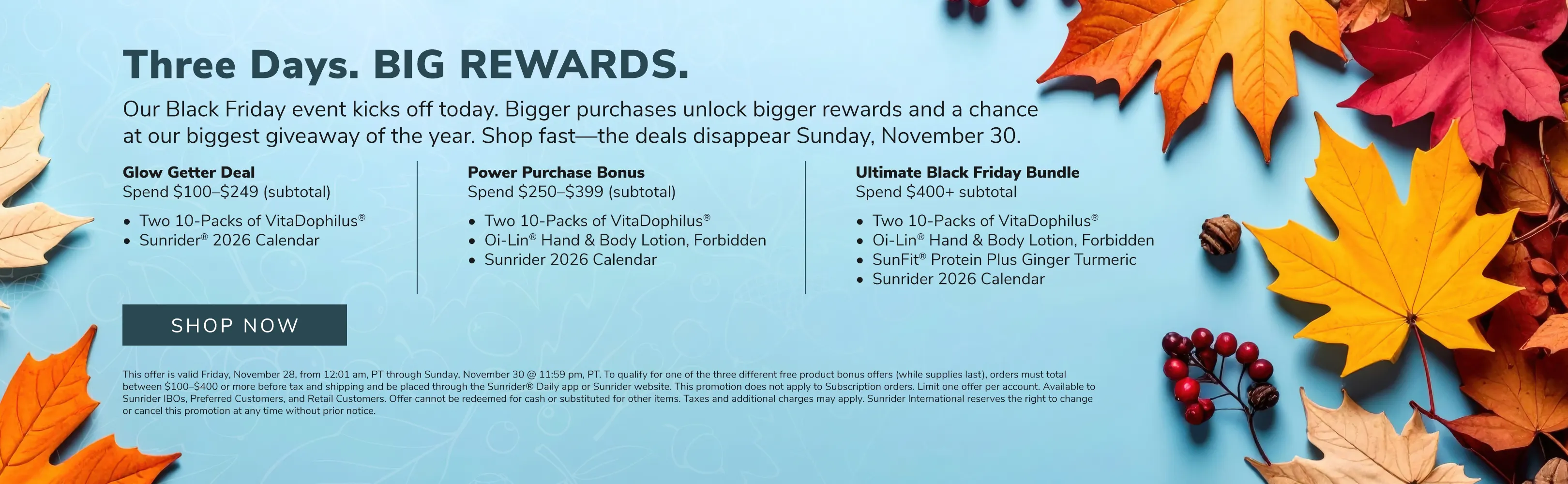 US-2025-November-Promo4-Carousel-ENG