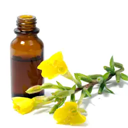 Evening Primrose Oil