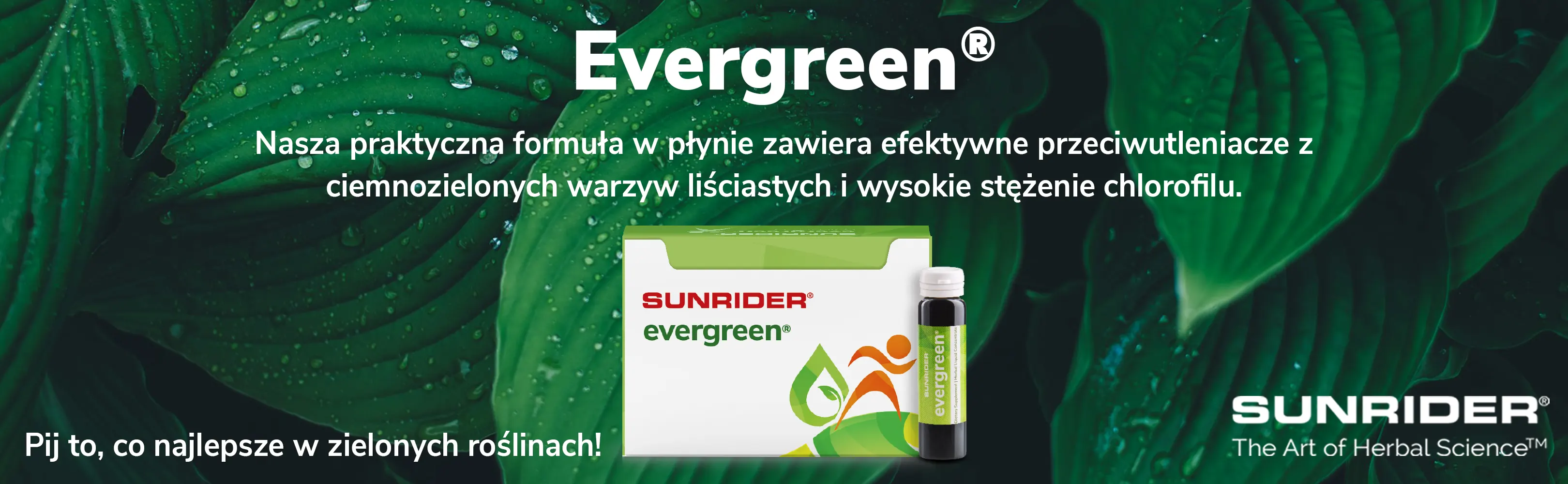 HU] Evergreen banner PL